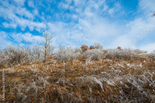 Hoarfrost winter landscape
