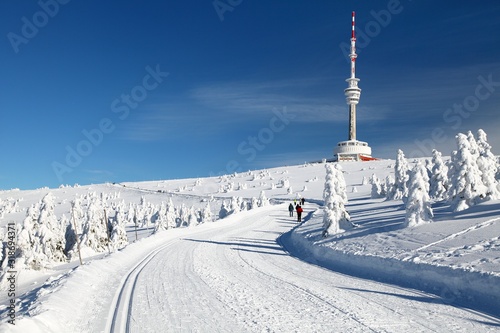 ski trail jesenik mountains mount praded photo