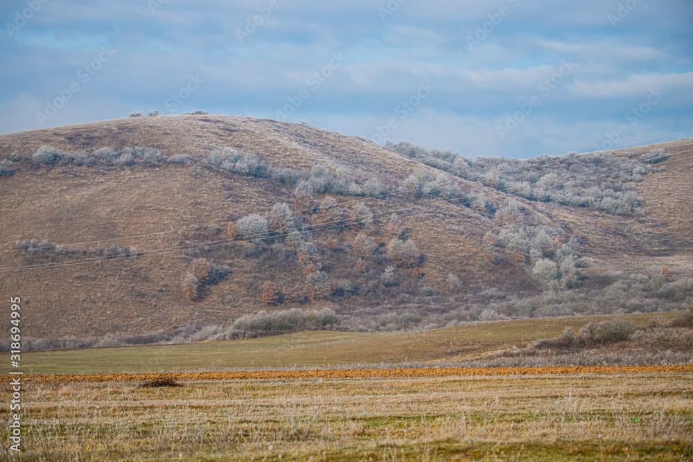 Hoarfrost winter landscape