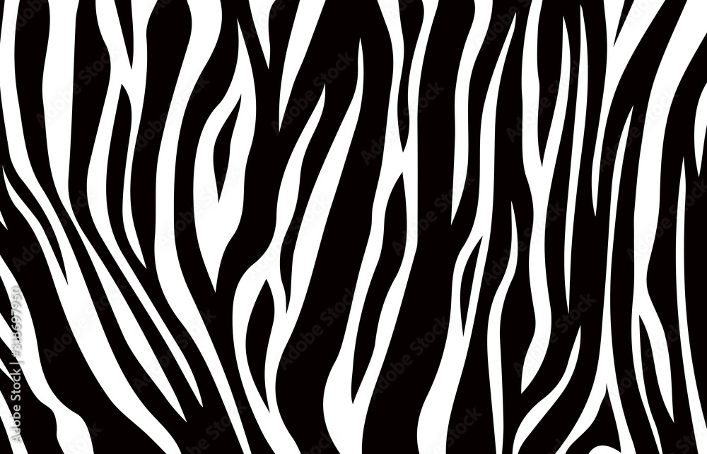 Zebra print, animal skin, tiger stripes pattern fabric. vector illustration black and white Zebra print, animal skin, tiger stripes pattern fabric. vector illustration black and white