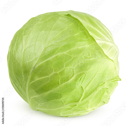 cabbage isolated on white background, clipping path, full depth of field photo