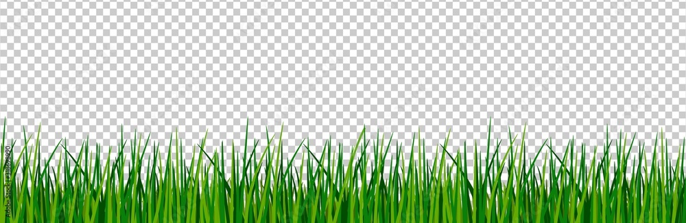 cartoon grass border