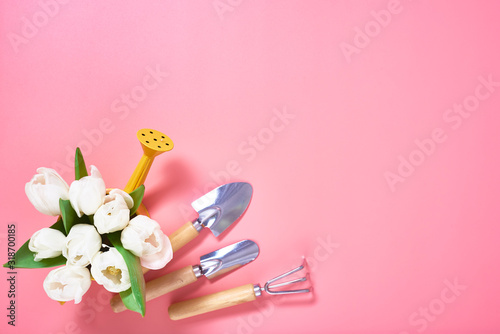Beautiful pink tulips, watering can and gardening tools on neutral background. Concept gardening. Top view.