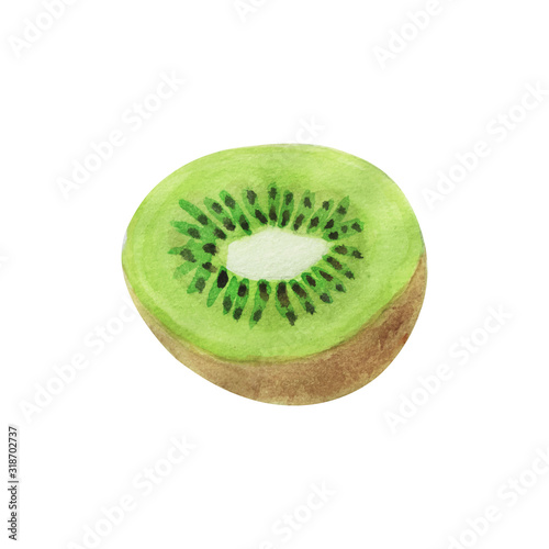 Watercolor kiwi illustration on white background in vector. Isolated watercolor kiwi
