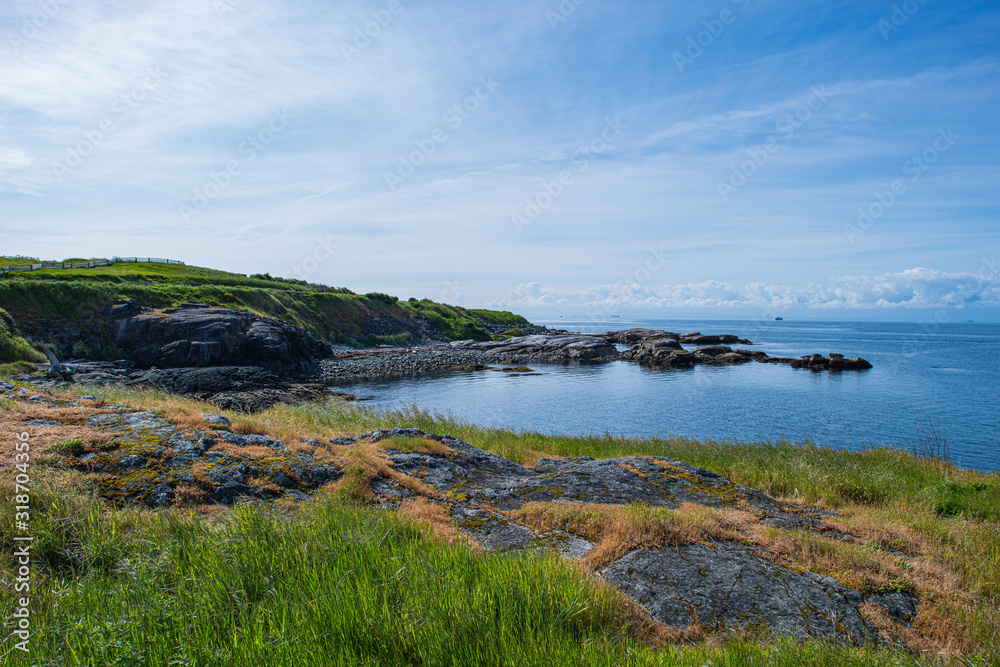 Landscape with the Salish Sea