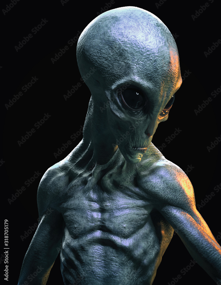 alien or extraterrestrial portrait alien or extraterrestrial portrait