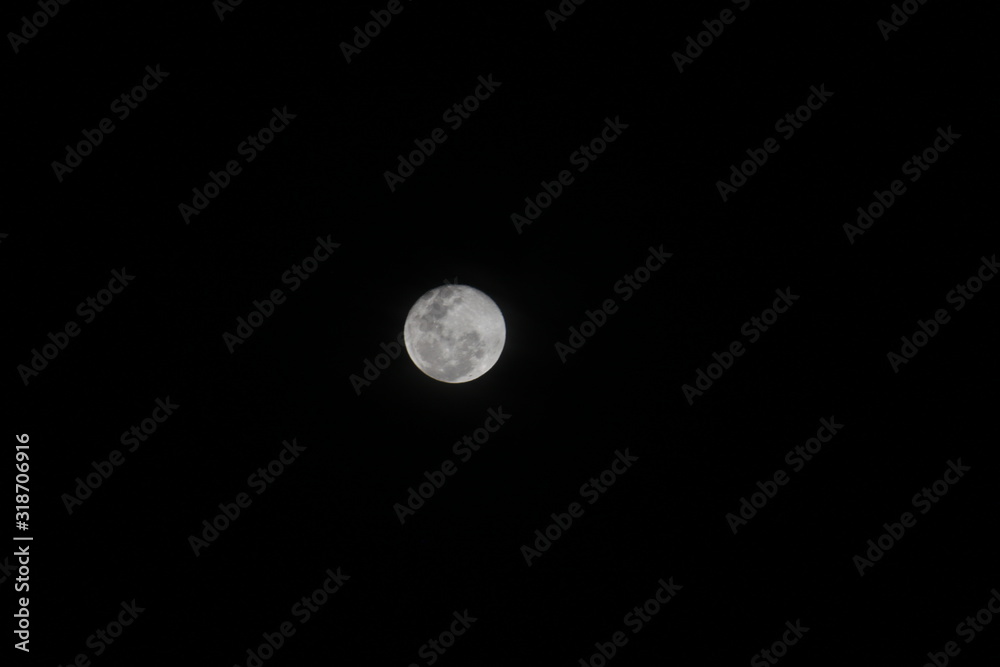 Luna Luna