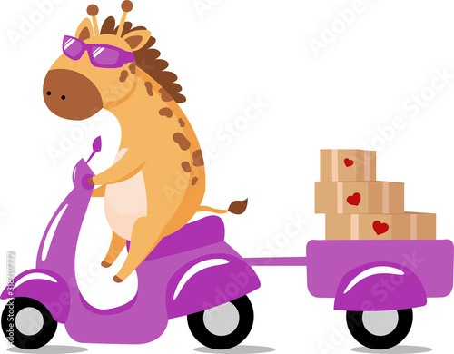 Creative  concept holiday valentines day delivery shipping vector illustration funny giraffe driving old retro vintage scooter bike with love hearts boxes.