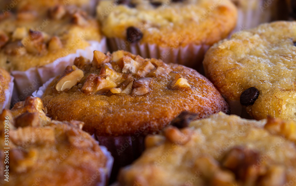 Vanilla and walnut cupcakes. Approach with selective blur of sweet muffins. Vanilla and walnut cupcakes. Approach with selective blur of sweet muffins.