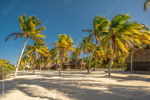 beach cottages on beach