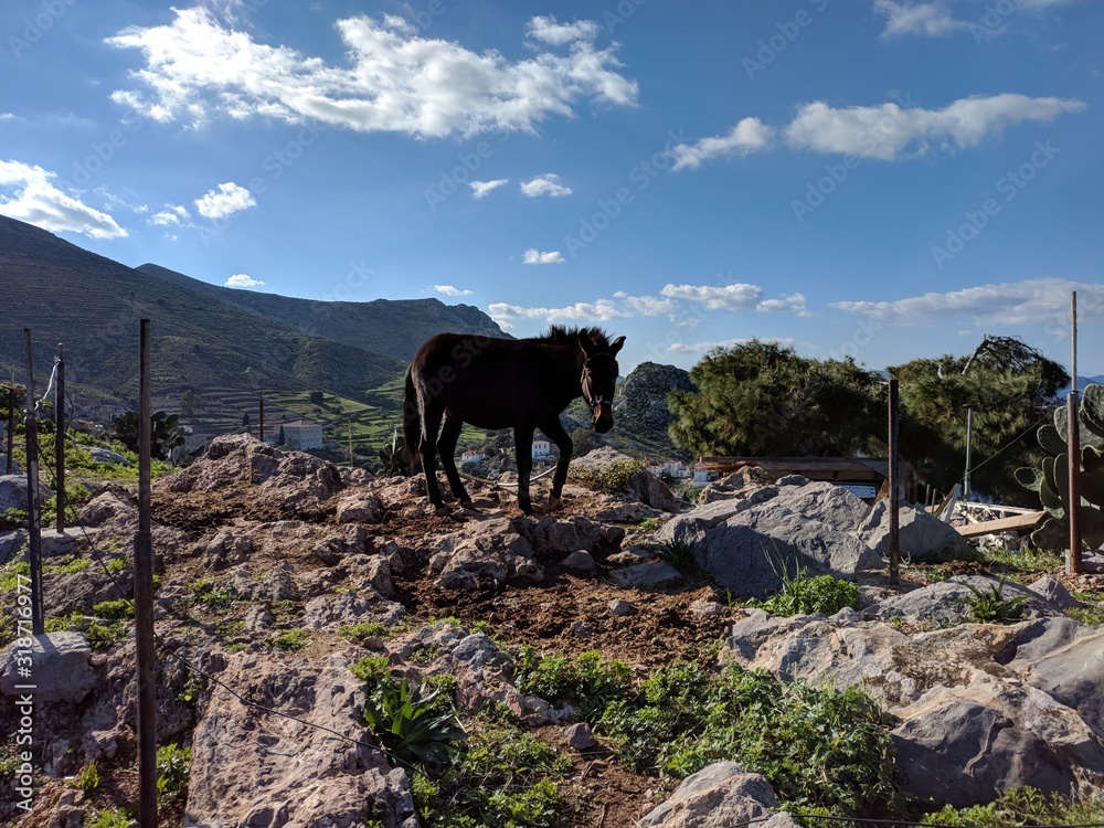 Obraz premium Greece Athens Hydra walk to city, day nature