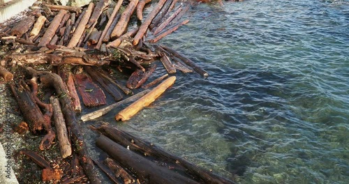 Lapping water with driftwood photo