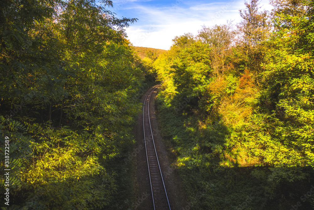 High Angle View of Empty Railway in a Forest with Colorful Trees