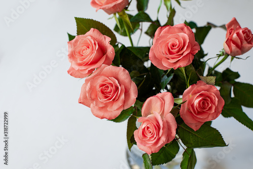 Pink roses boquet on white background, spring greeting card or banner background