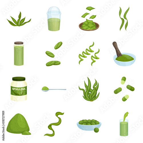 Vector illustration of spirulina and seaweed symbol. Collection of spirulina and vegan stock symbol for web.