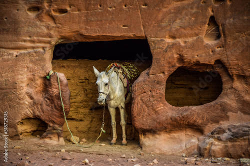 Foto Petra, Jordan