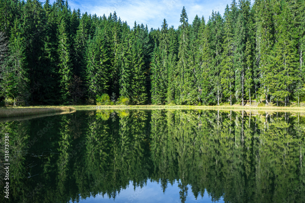 Reflections on the coniferous forest and blue sky with white clouds in a clear mountain lake water.