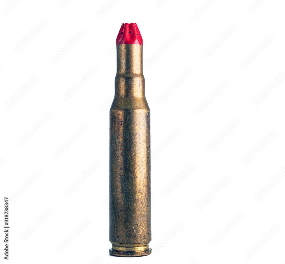 Dummy round bullet isolated on white background Dummy round bullet isolated on white background
