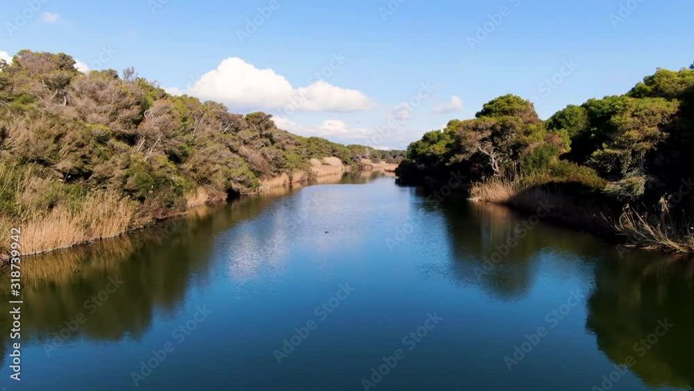 River Lenne in the middle of the pines, aerial shot 2 River Lenne in the middle of the pines, aerial shot 2