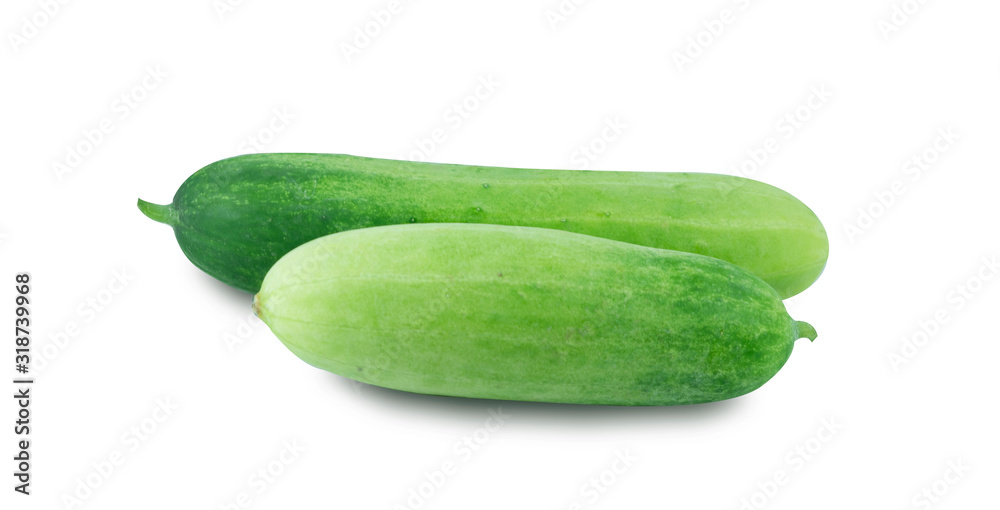 Fresh cucumber isolated on white background. Fresh cucumber isolated on white background.
