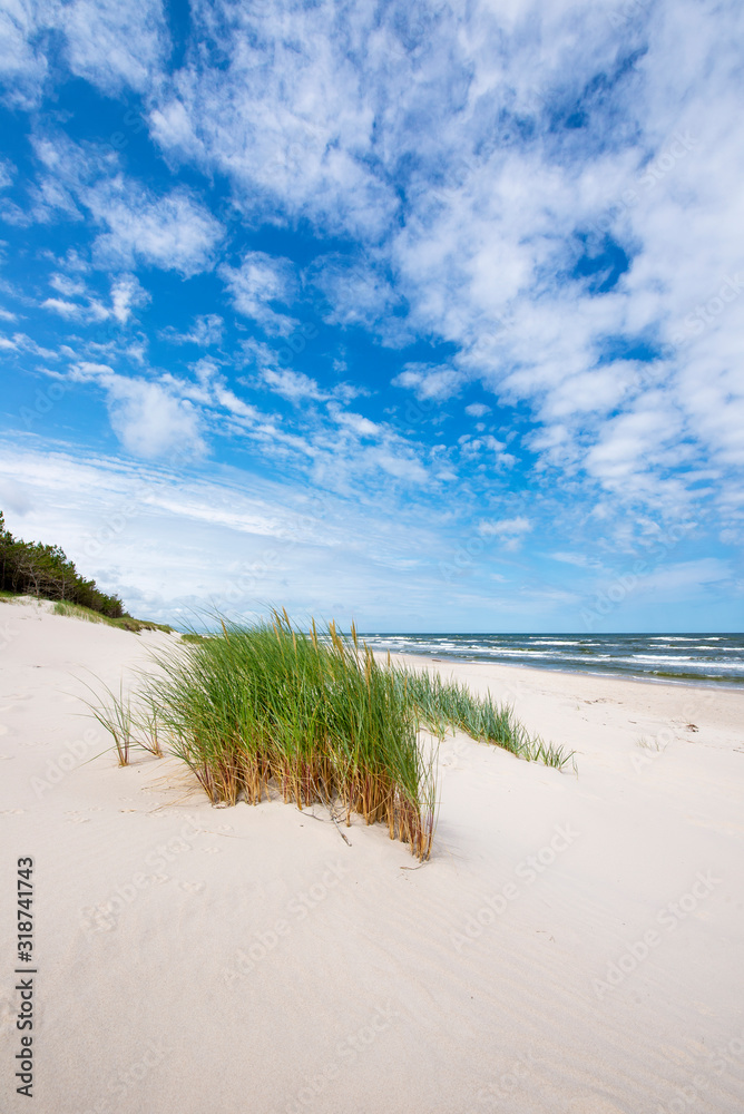 Beautiful summer landscape of sea coast Beautiful summer landscape of sea coast