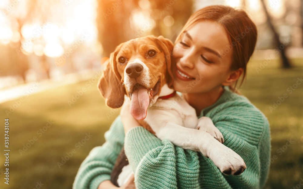 Happy woman embracing beagle dog in park - obrazy, fototapety, plakaty 