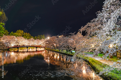 Hirosaki park cherry blossom matsuri festival light up at night. Beauty full bloom pink flowers in west moat Shunyo-bashi Bridge and lights illuminate. Aomori Prefecture, Tohoku Region, Japan © Shawn.ccf