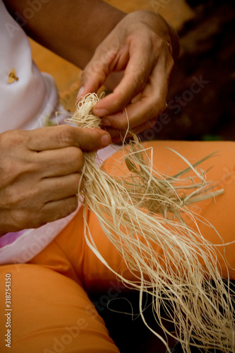 
Hands unraveling the buriti fibers to sew golden grass handicrafts photo