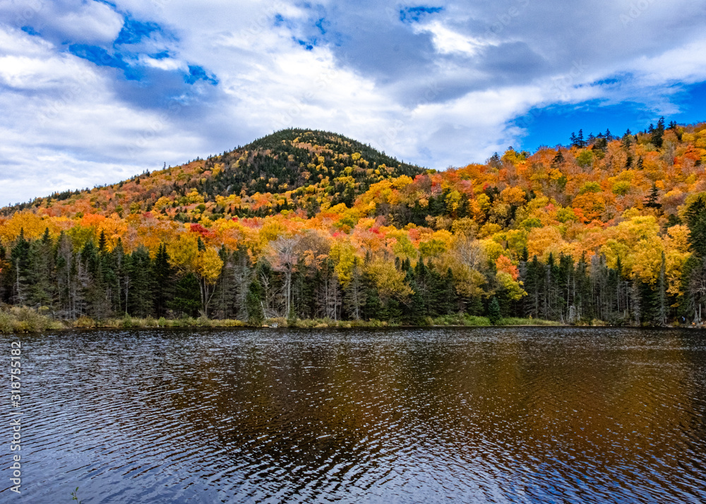 Saco Lake 1 Saco Lake 1