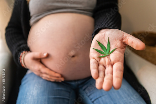 Fotografie, Obraz A selective focus shot as a pregnant caucasian woman holds a marijuana leaf in the palm of hand