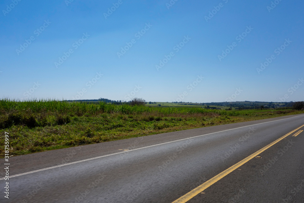 Brazilian pavimented and signed  rural road