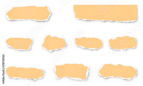 Torn paper on transparent background with space for text. Vector illustration.	