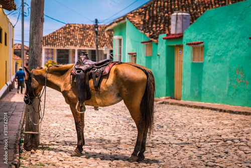 Photography Trinidad, Cuba, ciudad colonial donde el transporte depende de caballos