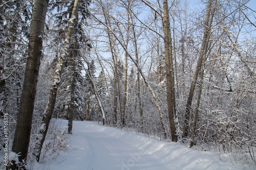 Snowy Trail, Gold Bar Park, Edmonton, Alberta