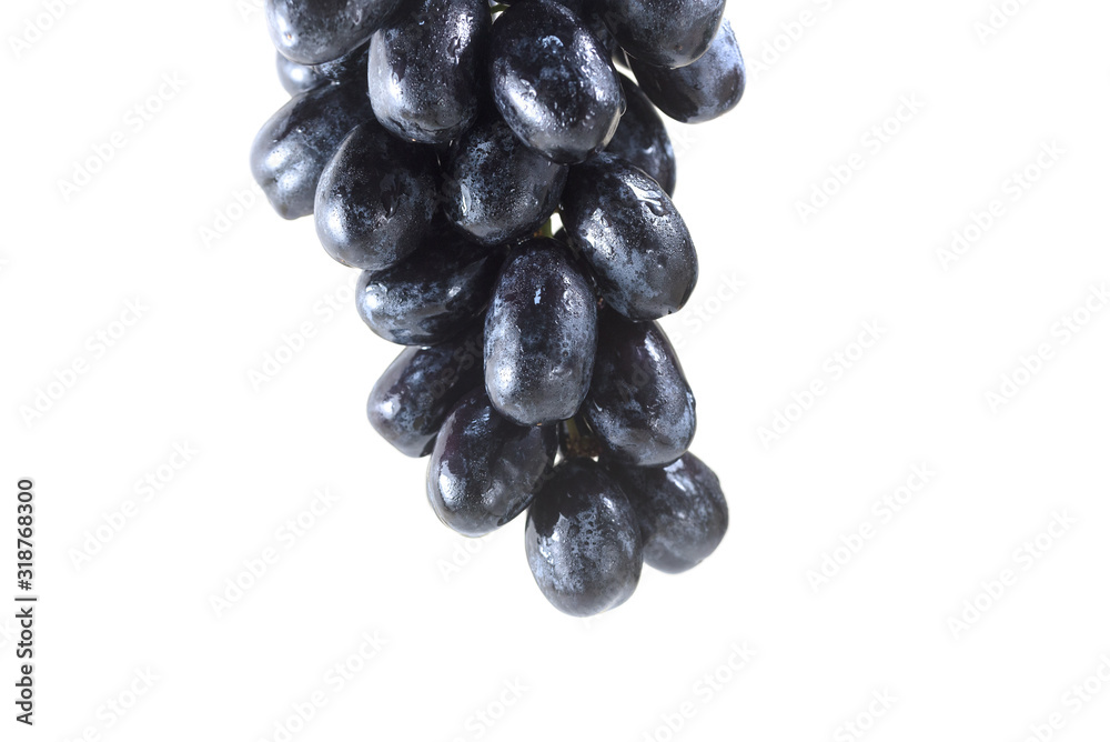 Bunch of grapes covered with drops of water isolated on white background. Bunch of grapes covered with drops of water isolated on white background.