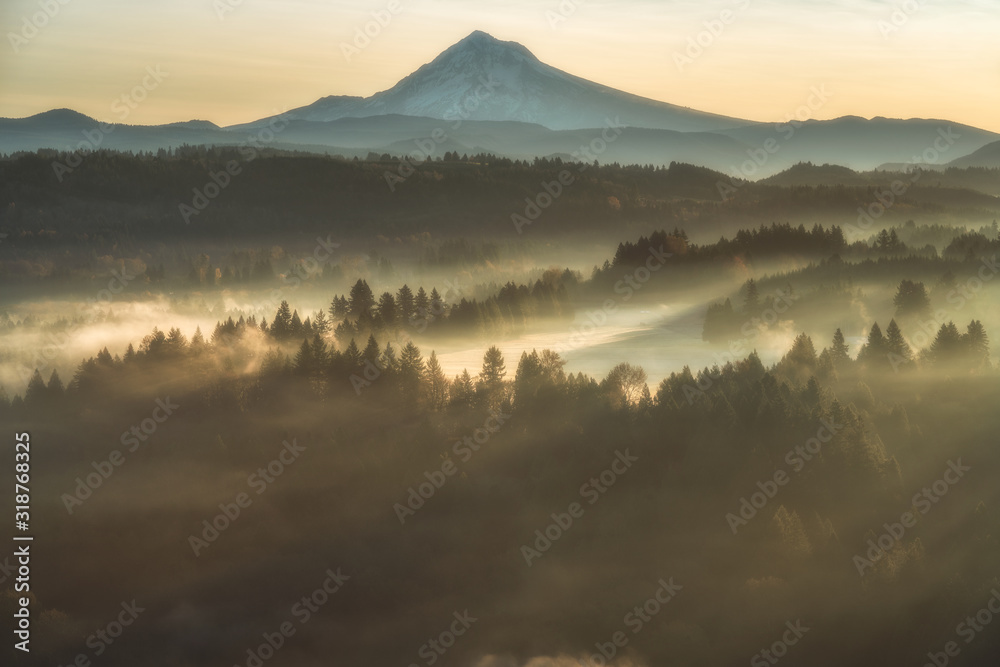 Fototapeta premium Mountains, Trees, Fog - Oregon