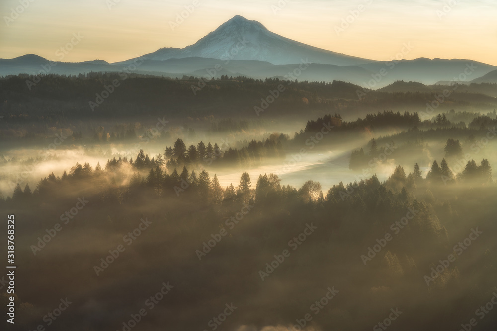 Mountains, Trees, Fog - Oregon