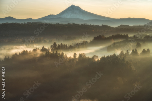 Mountains, Trees, Fog - Oregon