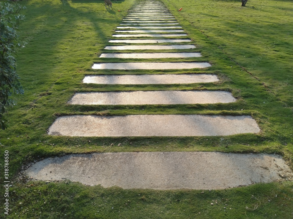 Pave path in lawn Pave path in lawn