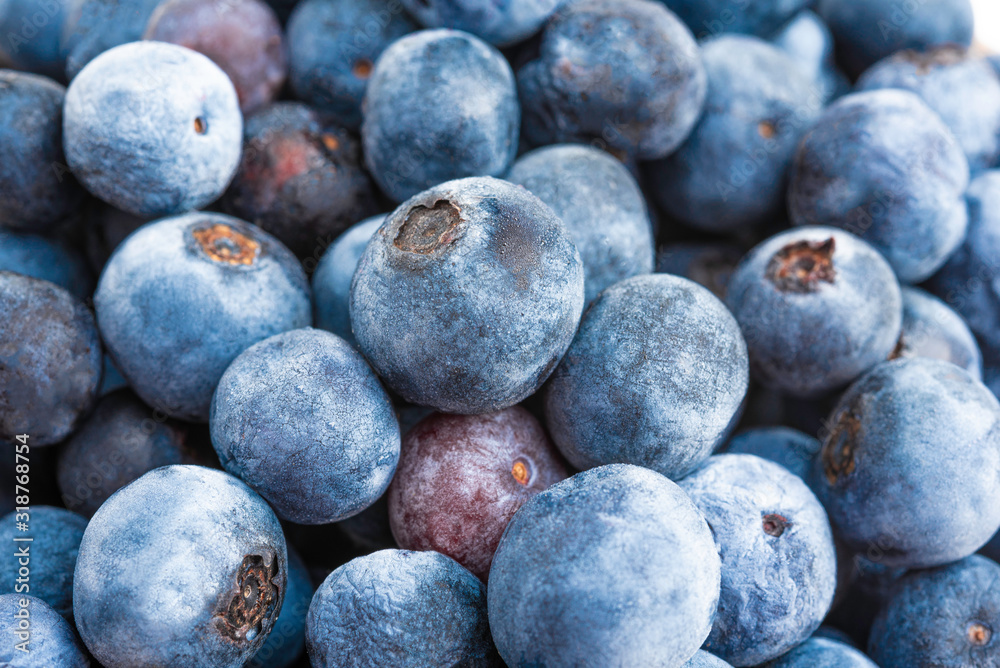 Macro Shot Of Fresh Blueberries Macro Shot Of Fresh Blueberries