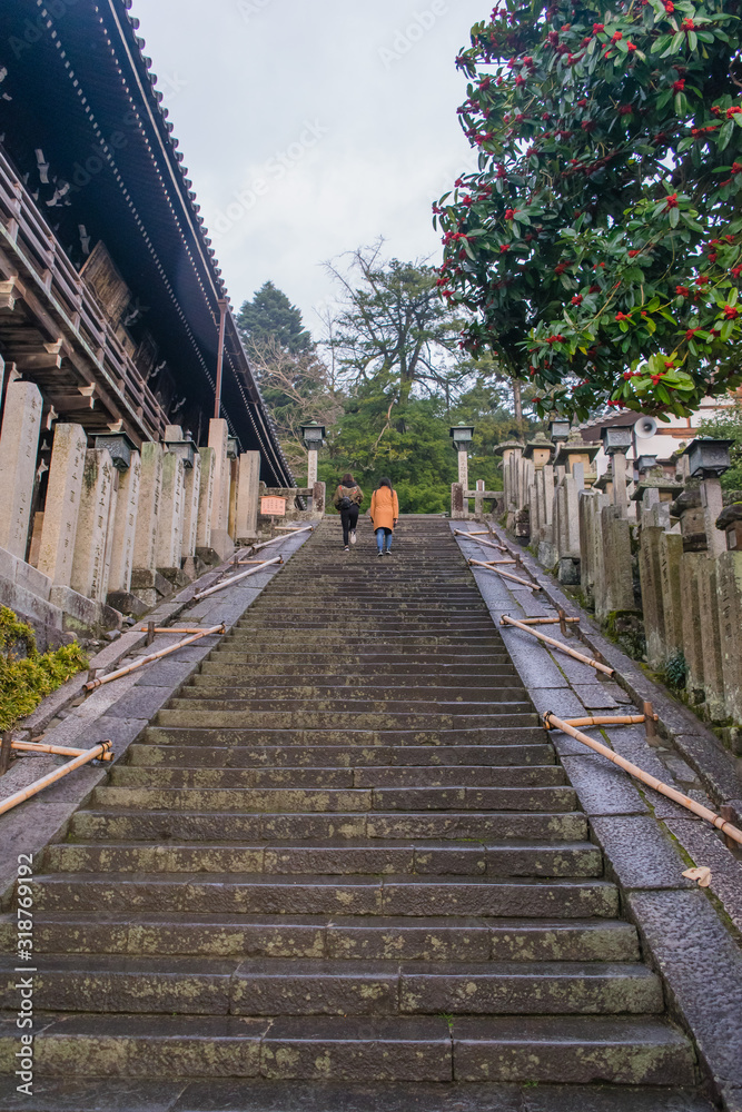Fototapeta premium long stairway