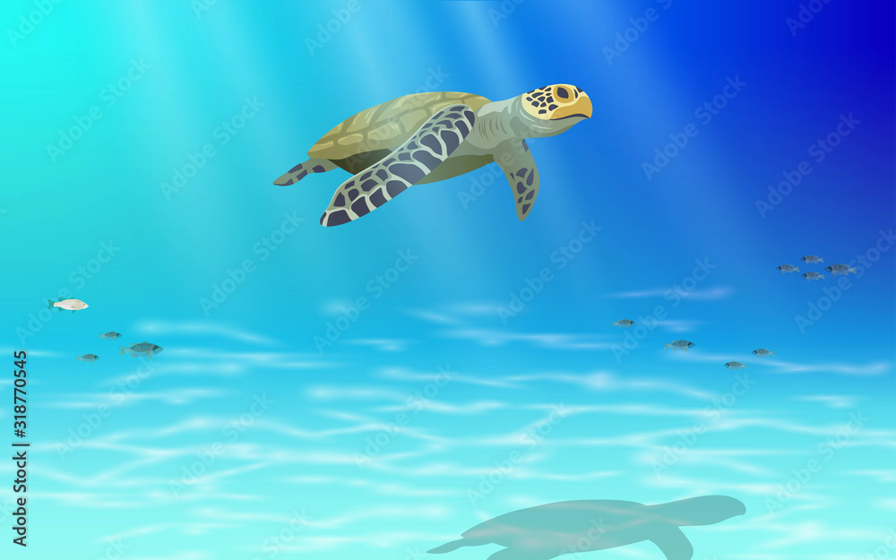 Sea turtle swimming in the sea Stock Vector | Adobe Stock
