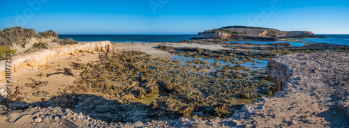 Fototapeta Naklejka Na Ścianę i Meble -  Rocky ocean coast panorama. Beachport, South Australia
