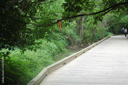 Fototapeta Naklejka Na Ścianę i Meble -  wooden nature path