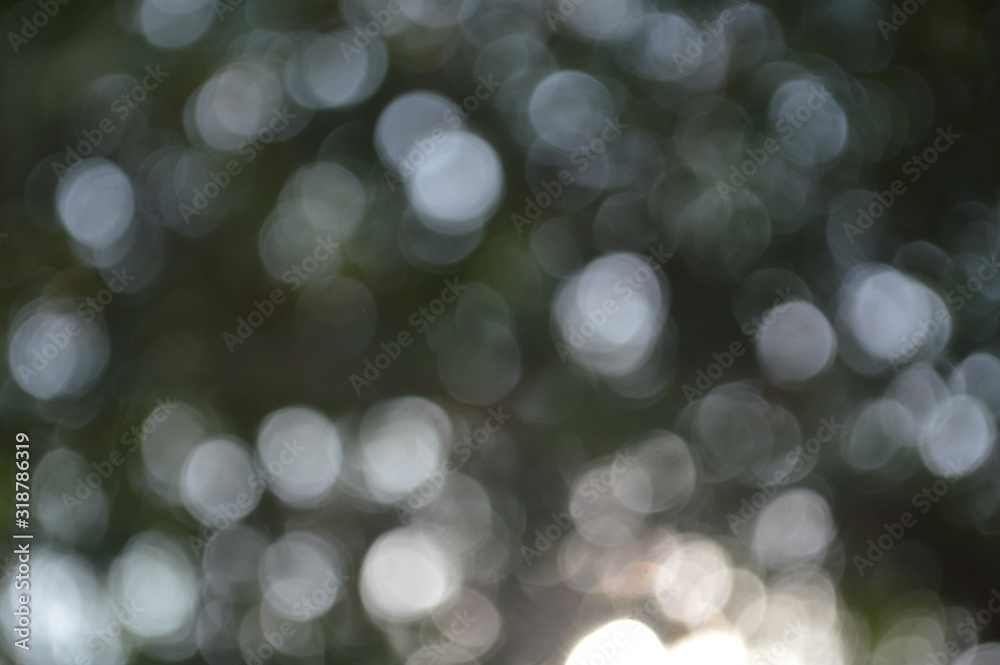 Obraz premium The bokeh of sunlight that shines through the leaves of the trees during the day time.