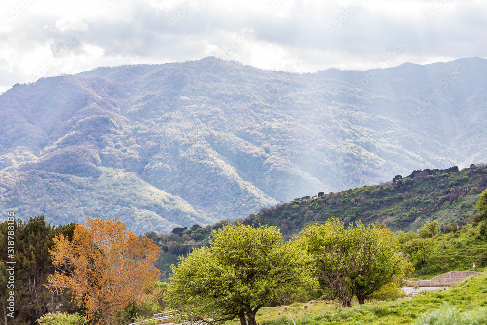 Obraz premium Italy, Sicily, Messina Province, Francavilla di Sicilia. View of the forested hills around Francavilla di Sicilia.