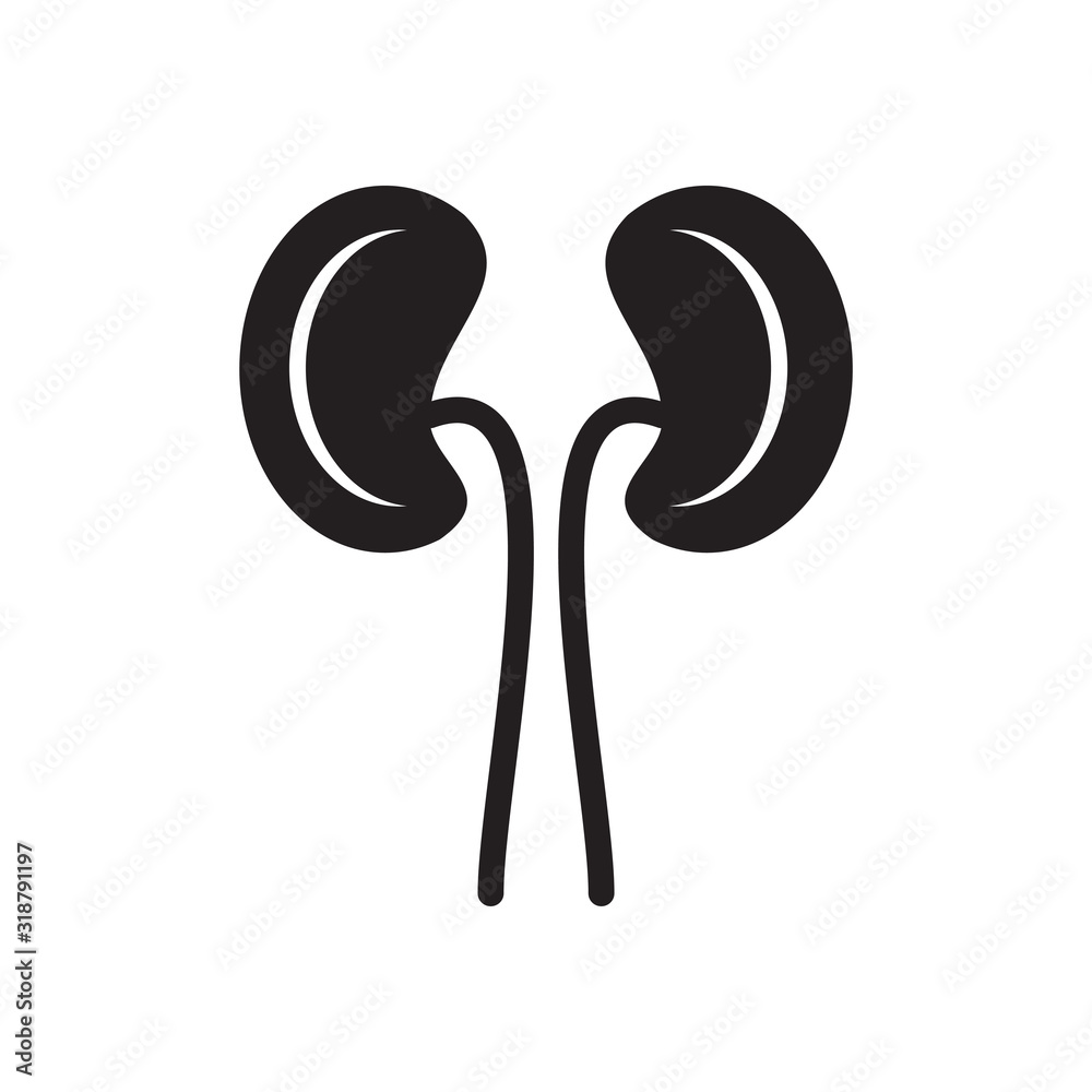 kidney icon collection, trendy style kidney icon collection, trendy style