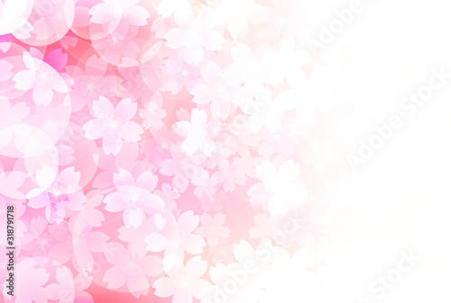 桜　春　花　背景