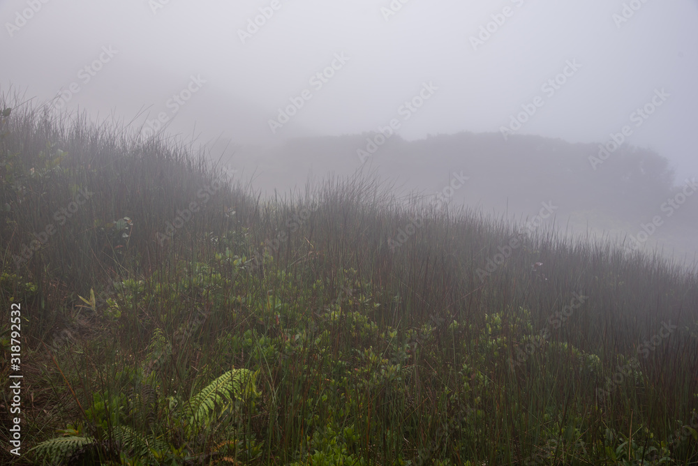 Fototapeta premium misty morning over the mountain landscape