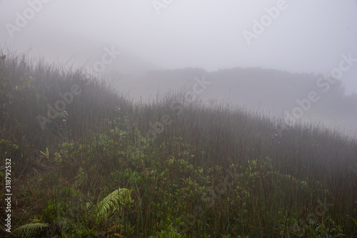 misty morning over the mountain  landscape
